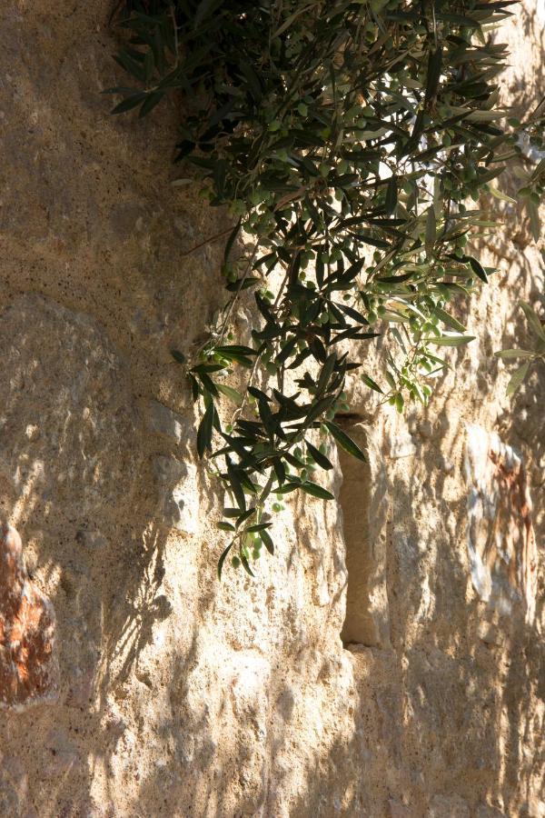 Orfea'S Place Riglia المظهر الخارجي الصورة